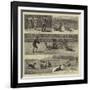 Sheep-Dog Trials at the Alexandra Palace-John Charles Dollman-Framed Giclee Print