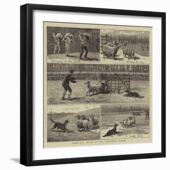 Sheep-Dog Trials at the Alexandra Palace-John Charles Dollman-Framed Giclee Print