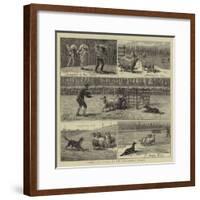 Sheep-Dog Trials at the Alexandra Palace-John Charles Dollman-Framed Giclee Print