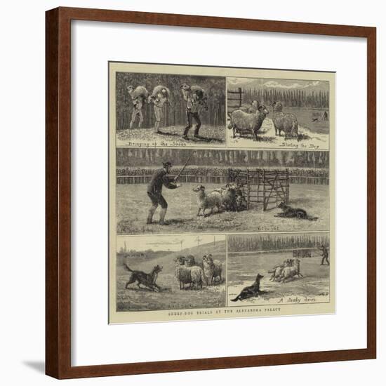 Sheep-Dog Trials at the Alexandra Palace-John Charles Dollman-Framed Giclee Print