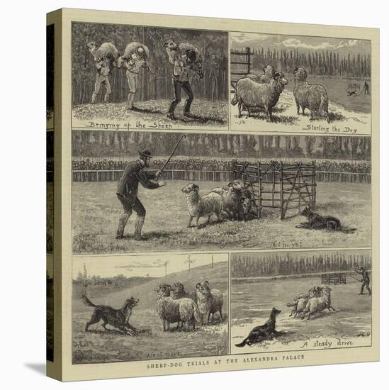 Sheep-Dog Trials at the Alexandra Palace-John Charles Dollman-Stretched Canvas