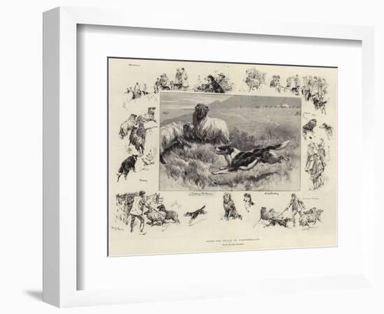 Sheep-Dog Trials in Westmoreland-John Charlton-Framed Giclee Print