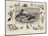 Sheep-Dog Trials in Westmoreland-John Charlton-Mounted Giclee Print