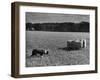 Sheep Dog Trials, Kent-null-Framed Photographic Print