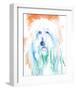 Sheep Dog-Aimee Del Valle-Framed Art Print