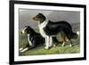 Sheep Dogs-Vero Shaw-Framed Premium Giclee Print