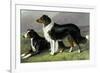 Sheep Dogs-Vero Shaw-Framed Art Print