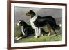 Sheep Dogs-Vero Shaw-Framed Art Print