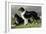 Sheep Dogs-Vero Shaw-Framed Art Print