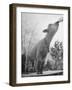 Sheep Drinking from a Bottle-Wallace Kirkland-Framed Photographic Print