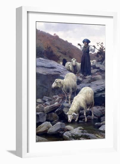 Sheep Drinking from Restano River-Stefano Bruzzi-Framed Giclee Print