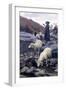 Sheep Drinking from Restano River-Stefano Bruzzi-Framed Giclee Print