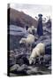 Sheep Drinking from Restano River-Stefano Bruzzi-Stretched Canvas