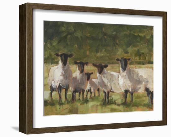 Sheep Family II-Ethan Harper-Framed Art Print