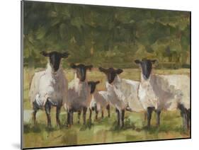 Sheep Family II-Ethan Harper-Mounted Art Print