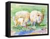Sheep Family on the Farm-sylvia pimental-Framed Stretched Canvas