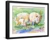 Sheep Family on the Farm-sylvia pimental-Framed Art Print