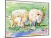 Sheep Family on the Farm-sylvia pimental-Mounted Art Print