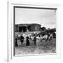 Sheep Farm in American West-null-Framed Photographic Print