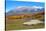 Sheep Farm near Kebler Pass in Colorado-SNEHITDESIGN-Stretched Canvas