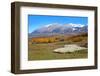 Sheep Farm near Kebler Pass in Colorado-SNEHITDESIGN-Framed Photographic Print