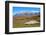 Sheep Farm near Kebler Pass in Colorado-SNEHITDESIGN-Framed Photographic Print