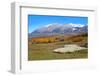 Sheep Farm near Kebler Pass in Colorado-SNEHITDESIGN-Framed Photographic Print