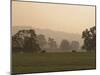 Sheep Farmland Seen from the Cotswold Way Footpath, Stanway Village, the Cotswolds, England-David Hughes-Mounted Photographic Print