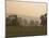 Sheep Farmland Seen from the Cotswold Way Footpath, Stanway Village, the Cotswolds, England-David Hughes-Mounted Photographic Print