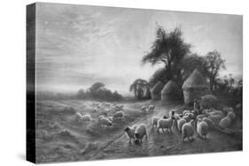 'Sheep Feeding', c1890, (1911)-Joseph Farquharson-Stretched Canvas