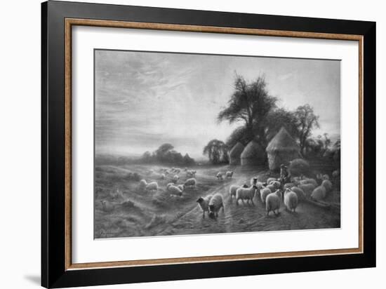 'Sheep Feeding', c1890, (1911)-Joseph Farquharson-Framed Giclee Print