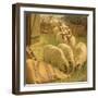 Sheep Feeding from an Upturned Grain Bag-William Gunning King-Framed Giclee Print