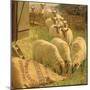 Sheep Feeding from an Upturned Grain Bag-William Gunning King-Mounted Giclee Print