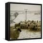 Sheep Feeding On Straw in Snowy Landscape. Ponden Moor, 1987-Fay Godwin-Framed Stretched Canvas