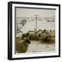 Sheep Feeding On Straw in Snowy Landscape. Ponden Moor, 1987-Fay Godwin-Framed Giclee Print