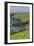 Sheep Fences and Rock Walls Along the Dingle Peninsula-Michael Nolan-Framed Premium Photographic Print