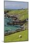 Sheep Fences and Rock Walls Along the Dingle Peninsula-Michael Nolan-Mounted Premium Photographic Print