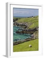 Sheep Fences and Rock Walls Along the Dingle Peninsula-Michael Nolan-Framed Photographic Print