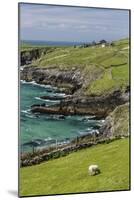 Sheep Fences and Rock Walls Along the Dingle Peninsula-Michael Nolan-Mounted Photographic Print