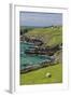 Sheep Fences and Rock Walls Along the Dingle Peninsula-Michael Nolan-Framed Photographic Print