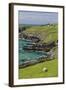 Sheep Fences and Rock Walls Along the Dingle Peninsula-Michael Nolan-Framed Photographic Print