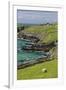 Sheep Fences and Rock Walls Along the Dingle Peninsula-Michael Nolan-Framed Photographic Print