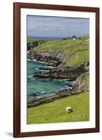 Sheep Fences and Rock Walls Along the Dingle Peninsula-Michael Nolan-Framed Photographic Print