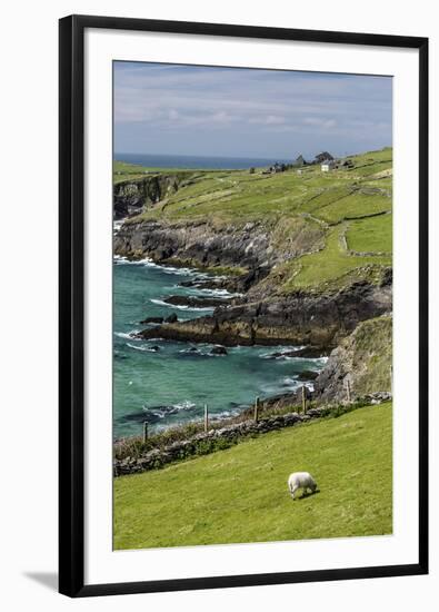 Sheep Fences and Rock Walls Along the Dingle Peninsula-Michael Nolan-Framed Photographic Print