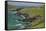 Sheep Fences and Rock Walls Along the Dingle Peninsula-Michael Nolan-Framed Stretched Canvas