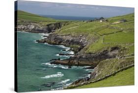 Sheep Fences and Rock Walls Along the Dingle Peninsula-Michael Nolan-Stretched Canvas