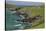 Sheep Fences and Rock Walls Along the Dingle Peninsula-Michael Nolan-Stretched Canvas