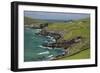 Sheep Fences and Rock Walls Along the Dingle Peninsula-Michael Nolan-Framed Photographic Print