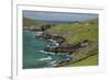 Sheep Fences and Rock Walls Along the Dingle Peninsula-Michael Nolan-Framed Photographic Print