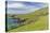 Sheep Fences and Rock Walls Along the Dingle Peninsula-Michael Nolan-Stretched Canvas